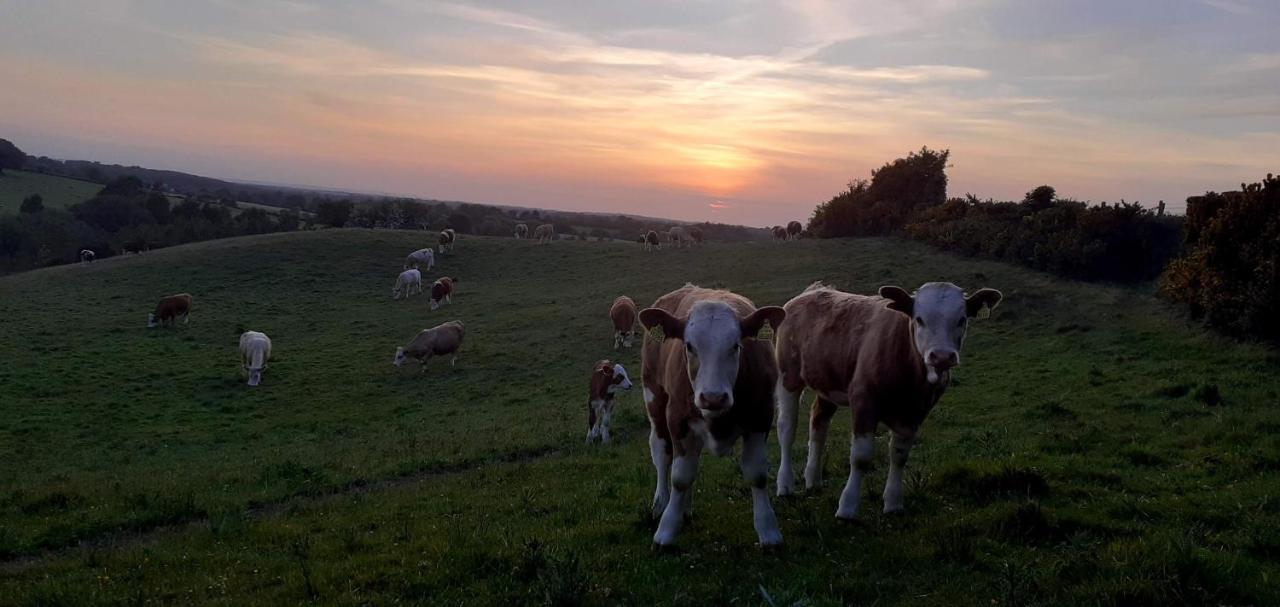 Green Adventure Ecohostel Clonmore Bagian luar foto