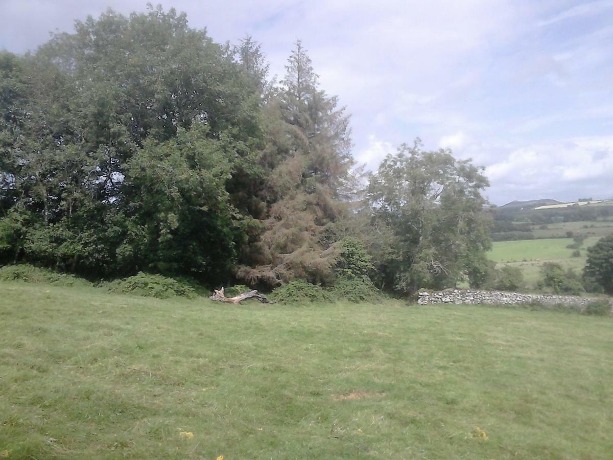 Green Adventure Ecohostel Clonmore Bagian luar foto