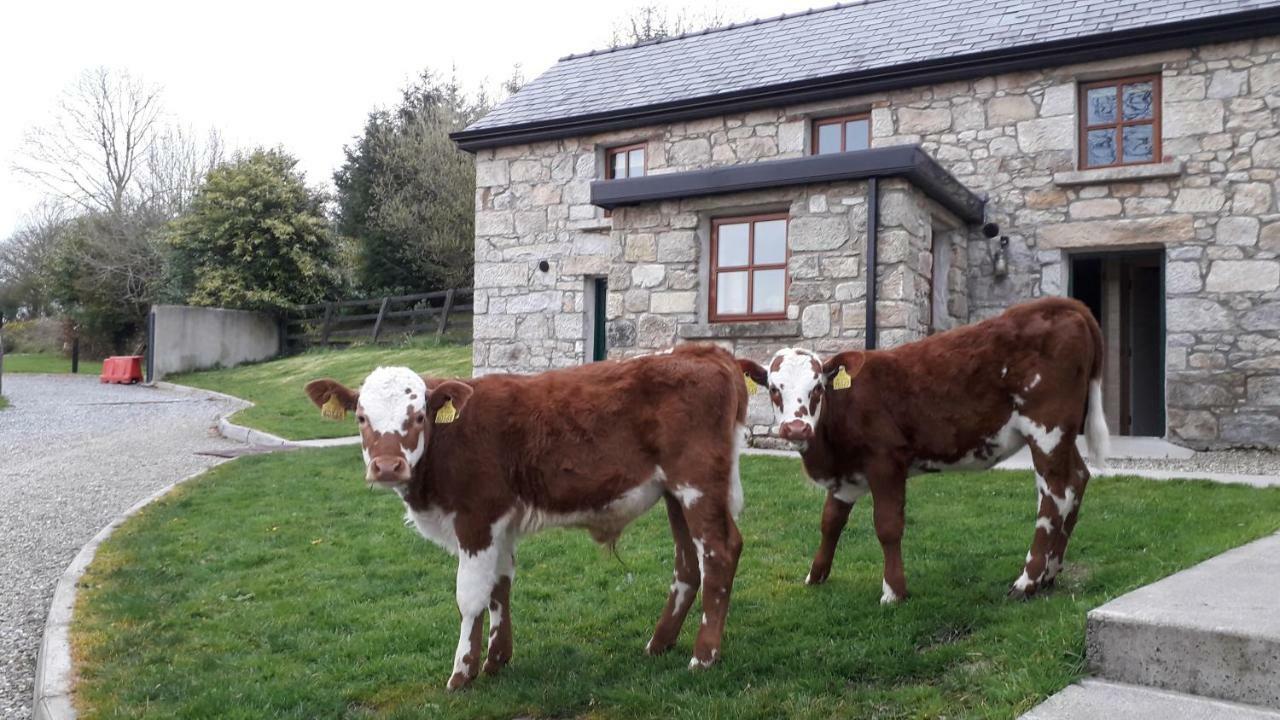Green Adventure Ecohostel Clonmore Bagian luar foto